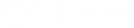 NTT Data
